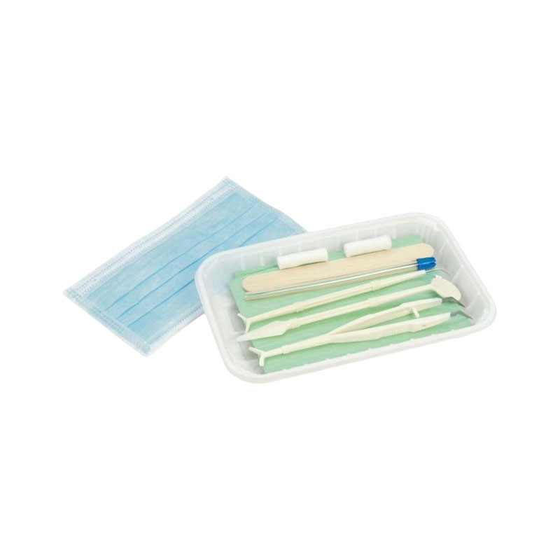 Instrument dentaire en plastique composite de dentisterie instrumentale dentaire personnalisé