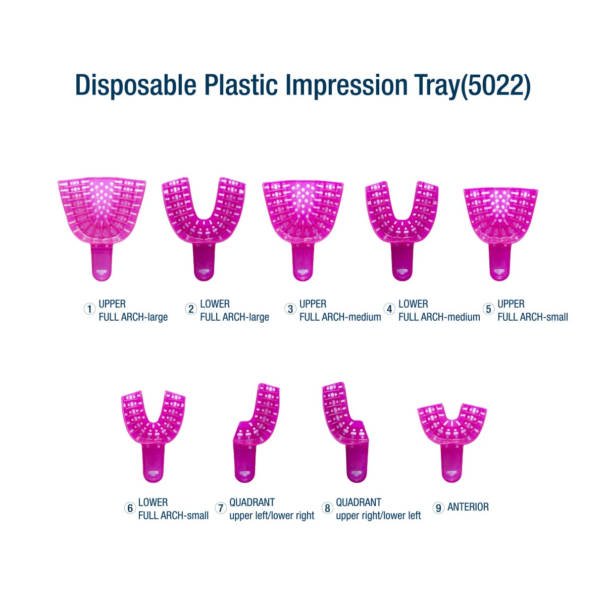 Plastique de porte-empreinte en plastique dentaire de couleur blanche bleue Plastique de porte-empreinte en plastique dentaire de couleur blanche bleue